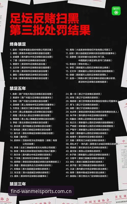 足协第三批禁足名单解读：看懂足球行业整顿的实用指南